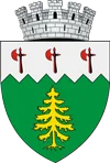 Stema Municipiului Câmpulung Moldovenesc